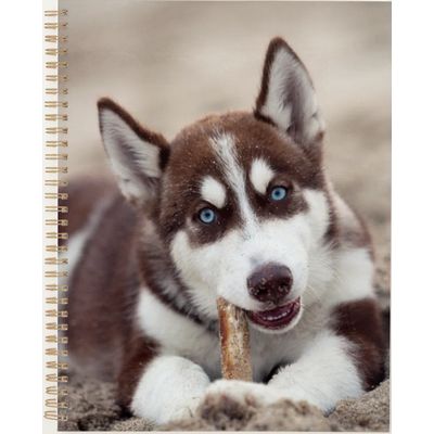Siberian Husky Puppy at the Beach Planner