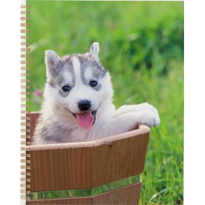 Siberian Husky Puppy in a Pot Planner