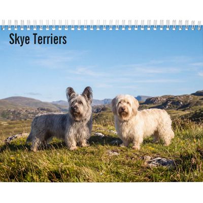 Skye Terriers 2027 Wall Calendar