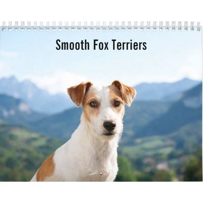 Smooth Fox Terriers 2027 Wall Calendar