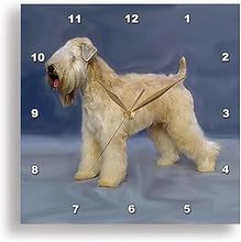 Soft Coated Wheaten Terrier Wall Clock 2026 Calendar