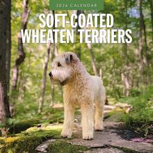 Soft Coated Wheaten Terriers 2026 Calendar