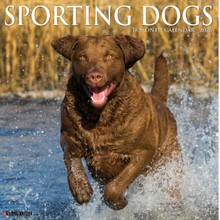 Sporting Dogs 2026 Calendar