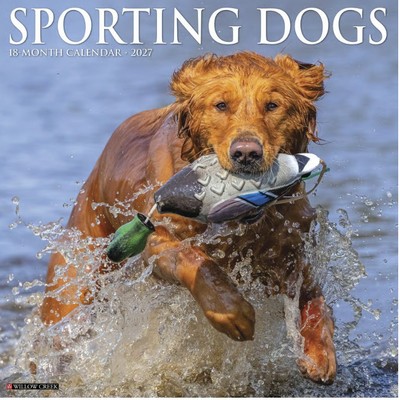 Sporting Dogs 2027 Calendar