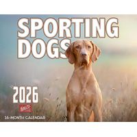 Sporting Dogs 2026 Wall Calendar