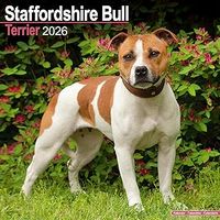 Staffordshire Bull Terrier 2026 Calendar