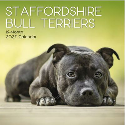Staffordshire Bull Terriers 2027 Calendar