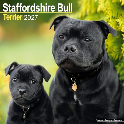 Staffordshire Bull Terriers 2027 Calendar