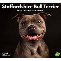 Staffordshire Bull Terrier 2026 Calendar