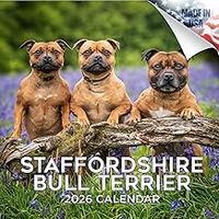 Staffordshire Bull Terrier 2026 Calendar