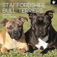 Staffordshire Bull Terrier 2026 Calendar