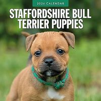 Staffordshire Bull Terrier Puppies 2026 Calendar
