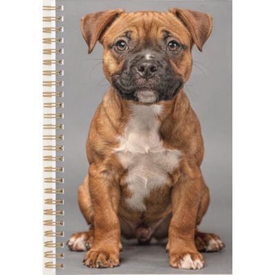 2027 Staffordshire Bull Terrier Puppy Planner