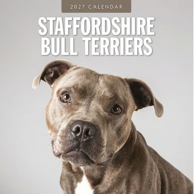 Staffordshire Bull Terriers 2027 Calendar