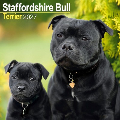 Staffordshire Bull Terriers 2027 Calendar