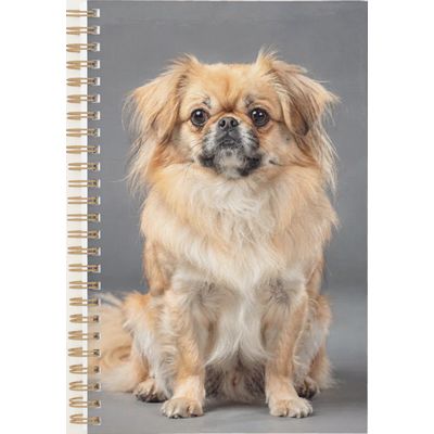 Tibetan Spaniel Planner