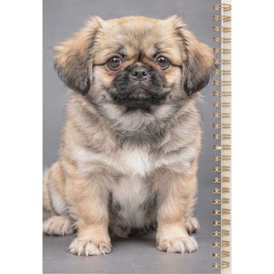 Tibetan Spaniel Planner