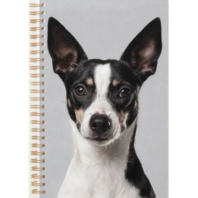 Toy Fox 2027 Planner