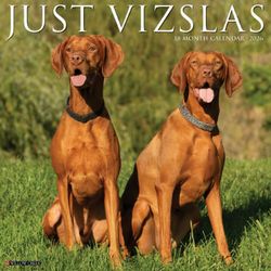 Just Vizslas 2026 Wall Calendar