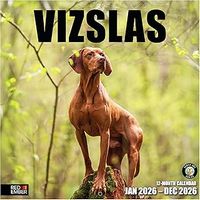 Vizslas 2026 Wall Calendar