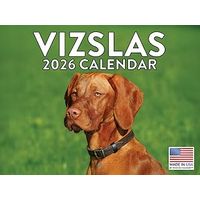 Vizslas 2026 Wall Calendar