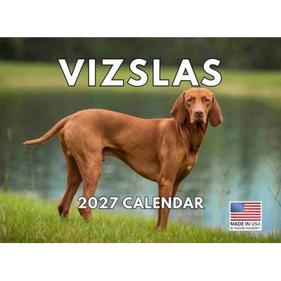 Vizslas 2027 Wall Calendar