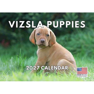 Vizsla Puppies 2027 Wall Calendar