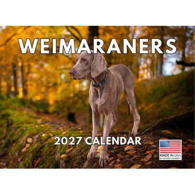Weimaraners 2027 Calendar