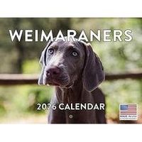 Weimaraners 2026 Calendar