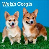 Welsh Corgis 2026 Calendar