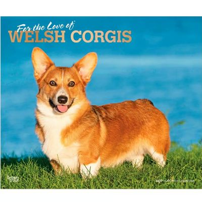 Welsh Corgis 2027 Deluxe Wall Calendar