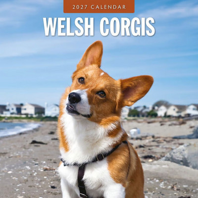 Welsh Corgis 2027 Wall Calendar