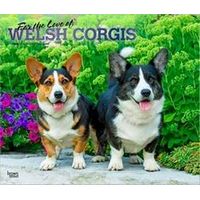 Welsh Corgis 2026 Calendar