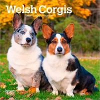 Welsh Corgi Calendars