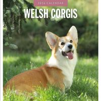 Welsh Corgis 2026 Calendar