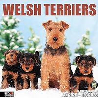 Welsh Terrier 2026 Calendar