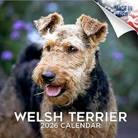Welsh Terrier 2026 Calendar