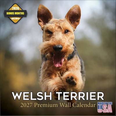 Welsh Terrier 2027 Calendar