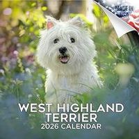 West Highland Terrier 2026 Calendar