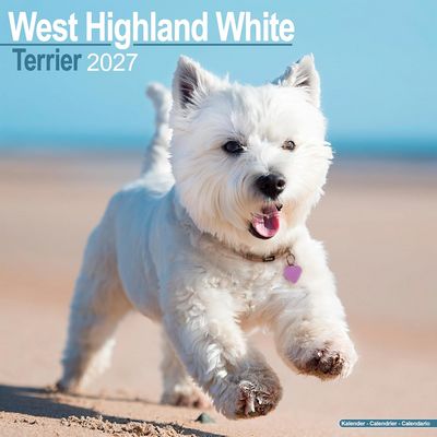 West Highland Terrier 2027 Calendar