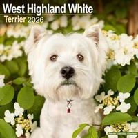 West Highland White Terrier 2026 Calendar