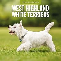 West Highland White Terrier 2026 Calendar