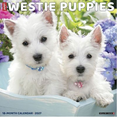 Just Westie Puppies 2027 Wall Calendar