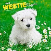 2026 Westie Puppies Calendars