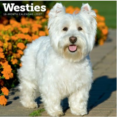 2027 Westies Wall Calendar