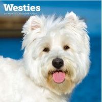 Westies 2026 Calendar