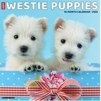 Just Westie Puppies 2026 Wall Calendar