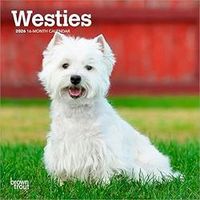 West Highland White Terriers 2026 Calendar