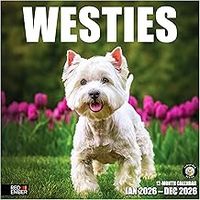 Westies 2026 Wall Calendar
