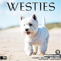 Westies 2026 Wall Calendar